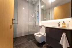 Cairnhill 16 (D9), Apartment #632454551